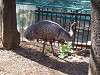 ueno_zoo_0638_mini.jpg