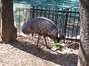 ueno_zoo_0639_mini.jpg