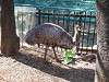 ueno_zoo_0642_mini.jpg