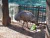 ueno_zoo_0644_mini.jpg