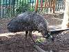 ueno_zoo_0650_mini.jpg
