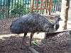 ueno_zoo_0651_mini.jpg