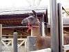 ueno_zoo_0677_mini.jpg