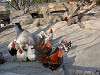 ueno_zoo_0699_mini.jpg