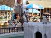 ueno_zoo_0715_mini.jpg
