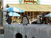 ueno_zoo_0727_mini.jpg