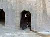 ueno_zoo_0731_mini.jpg