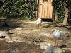 ueno_zoo_0768_mini.jpg