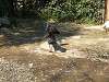 ueno_zoo_0771_mini.jpg
