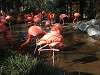 ueno_zoo_0823_mini.jpg