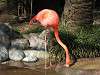 ueno_zoo_0828_mini.jpg