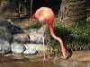 ueno_zoo_0829_mini.jpg