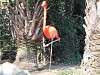 ueno_zoo_0830_mini.jpg