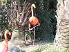 ueno_zoo_0831_mini.jpg