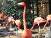ueno_zoo_0832_mini.jpg