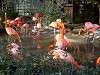 ueno_zoo_0840_mini.jpg