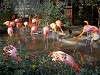 ueno_zoo_0844_mini.jpg