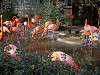 ueno_zoo_0846_mini.jpg