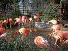 ueno_zoo_0847_mini.jpg