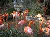 ueno_zoo_0848_mini.jpg
