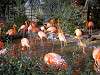 ueno_zoo_0852_mini.jpg