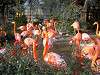 ueno_zoo_0857_mini.jpg