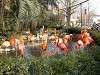 ueno_zoo_0872_mini.jpg