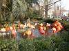 ueno_zoo_0873_mini.jpg