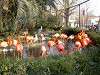 ueno_zoo_0875_mini.jpg