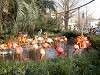 ueno_zoo_0878_mini.jpg