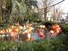 ueno_zoo_0880_mini.jpg