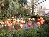 ueno_zoo_0881_mini.jpg