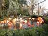 ueno_zoo_0882_mini.jpg