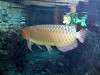 ueno_zoo_0891_mini.jpg