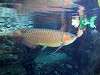 ueno_zoo_0895_mini.jpg