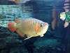ueno_zoo_0896_mini.jpg