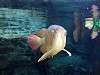 ueno_zoo_0897_mini.jpg