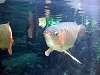 ueno_zoo_0901_mini.jpg