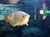 ueno_zoo_0906_mini.jpg