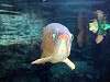 ueno_zoo_0907_mini.jpg