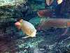 ueno_zoo_0908_mini.jpg