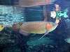 ueno_zoo_0915_mini.jpg