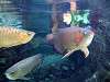 ueno_zoo_0916_mini.jpg