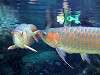 ueno_zoo_0918_mini.jpg
