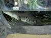 ueno_zoo_0922_mini.jpg