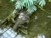 ueno_zoo_0928_mini.jpg