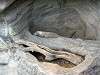 ueno_zoo_0959_mini.jpg