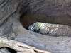 ueno_zoo_0961_mini.jpg