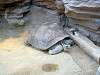 ueno_zoo_0977_mini.jpg