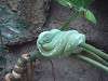ueno_zoo_1008_mini.jpg